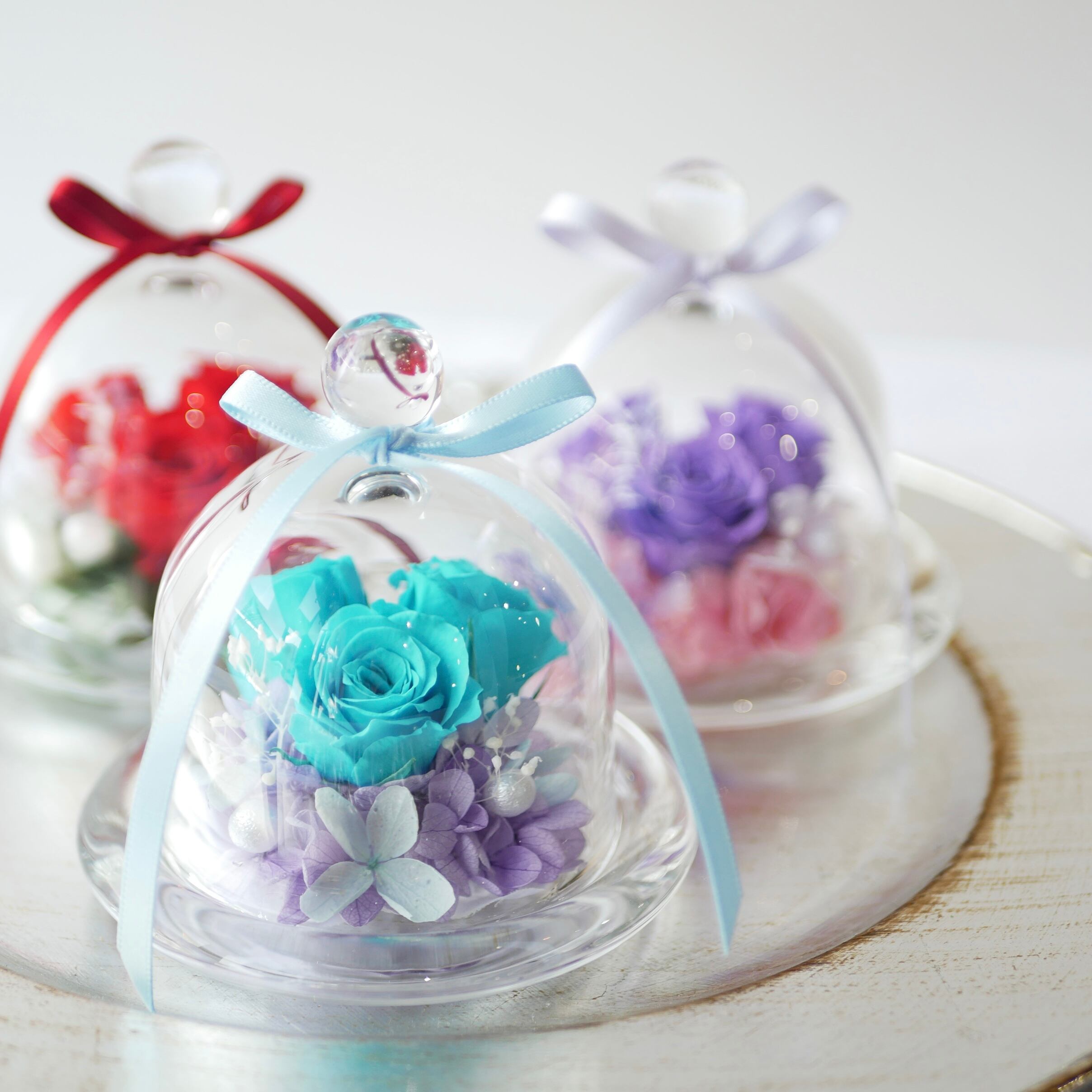 プリンセスドームアレンジ