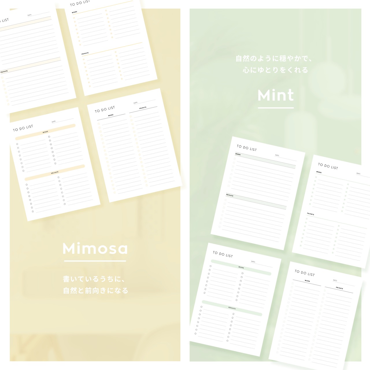 ToDoリスト┊︎6色&4種類セット┊︎タスク管理┊︎やることリスト