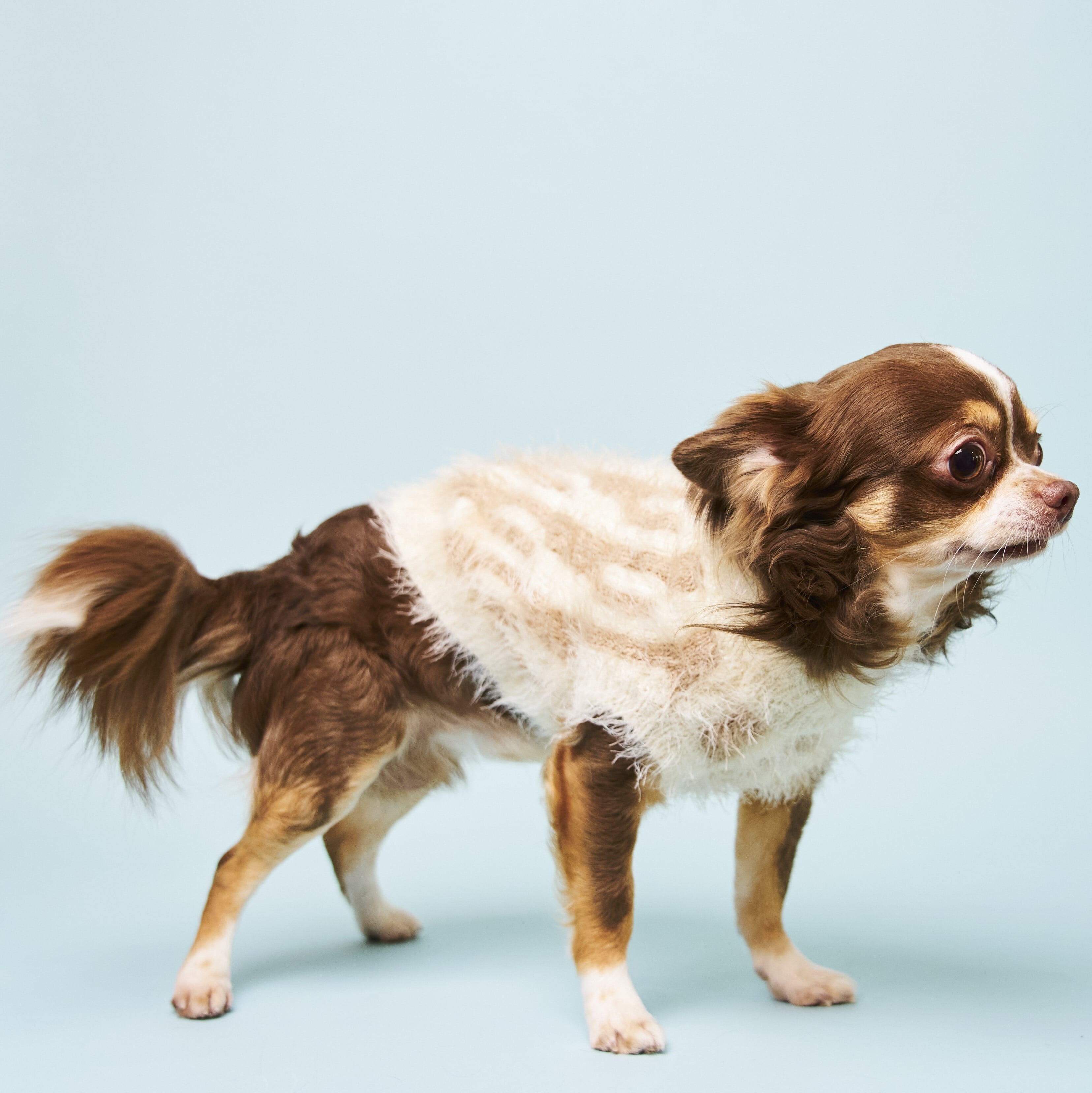 HYGGELE 犬服 BICOLOR FEATHER YARN KNIT BICOLOR FEATHER YARN KNIT | HYGGELE