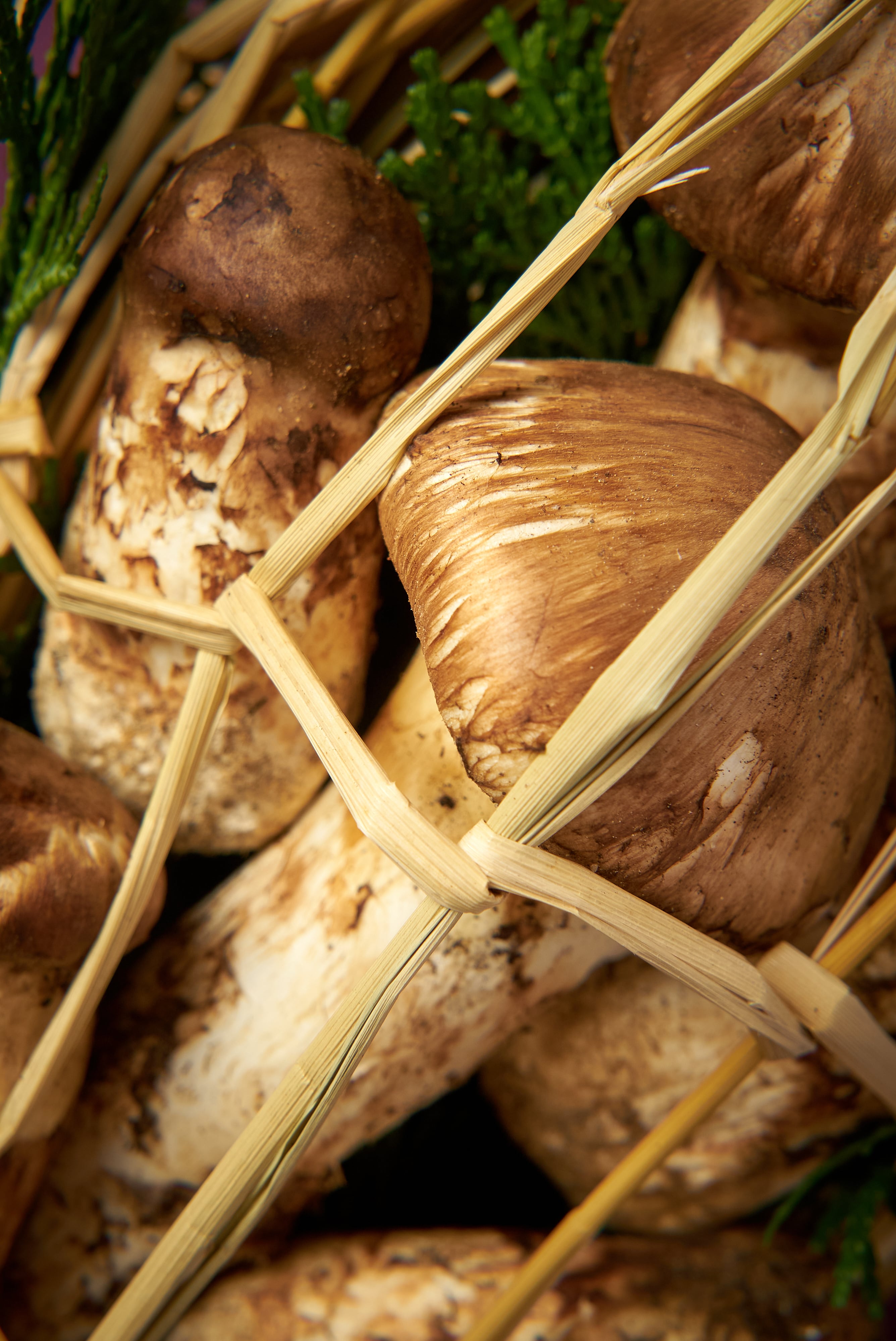 広島庄原産】松茸 | まつしまストアーオンライン