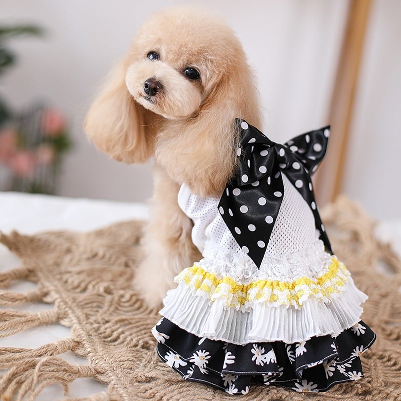 大型犬もOK 大きめリボンのキャミソールワンピース