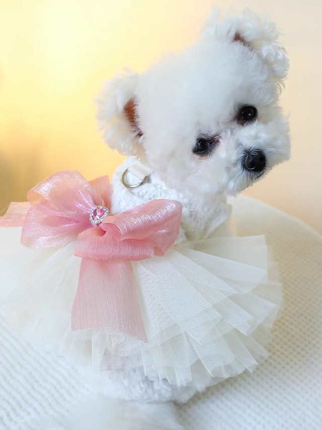 ビッグリボンジュエリードレス0127