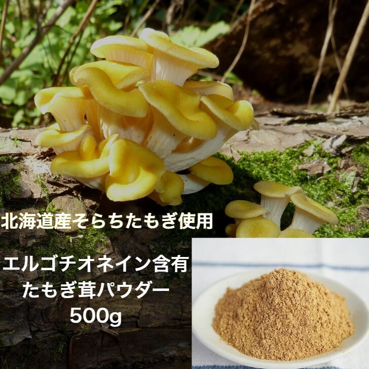 たもぎ茸石突乾燥パウダー 500g【北海道産 そらちたもぎ】 | 【たもぎ