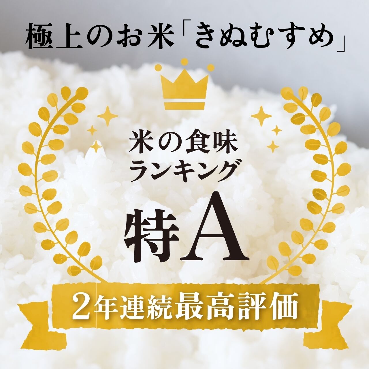 令和7年産 島根県産金芽米きぬむすめ 5キロ 送料込み | JAしまね や