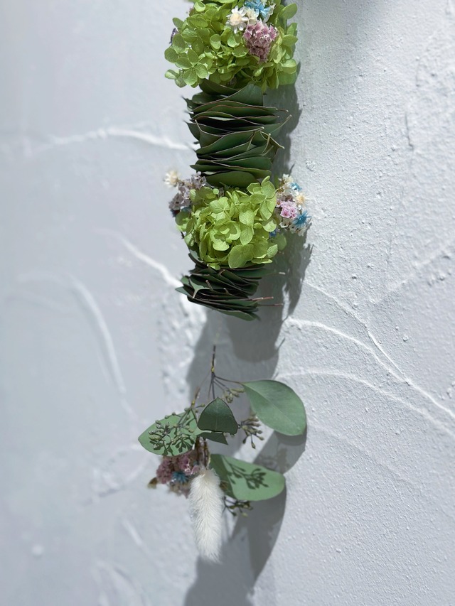 ユーカリミルフィーユ