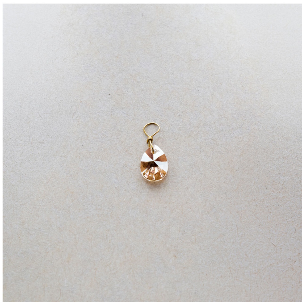CHARM（AMBER）