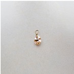 CHARM（AMBER）