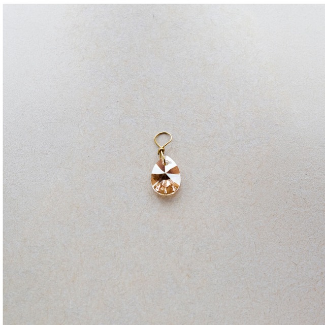 CHARM（AMBER）