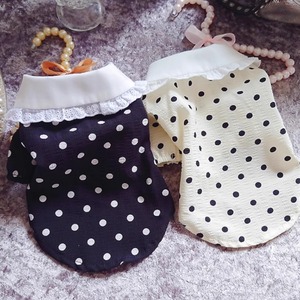 【PET】2色展開韓国風柔らかいレース襟ドット柄デザインシャツ