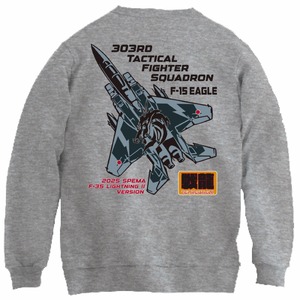 F-15 スペシャルマーキングトレーナー GB