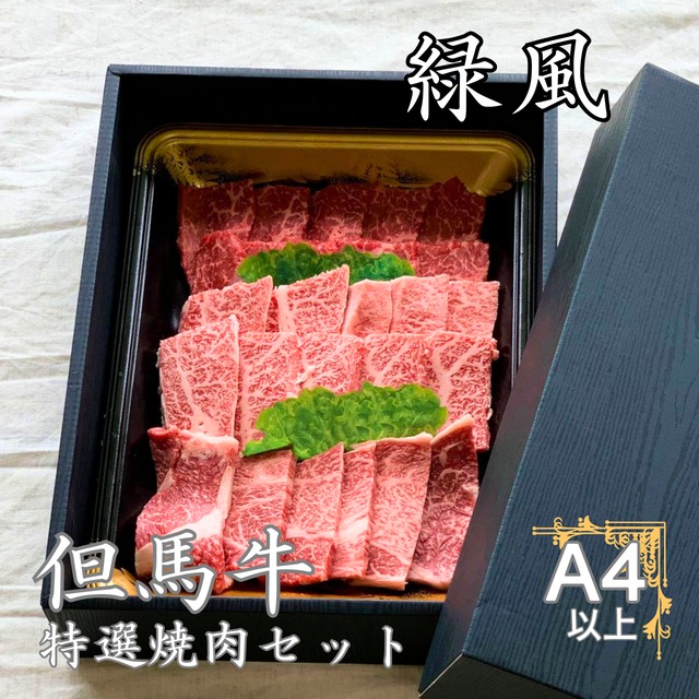 【箱入り】神戸牛特選焼肉セット「緑風」400g(赤身200g・特選カルビ200g)