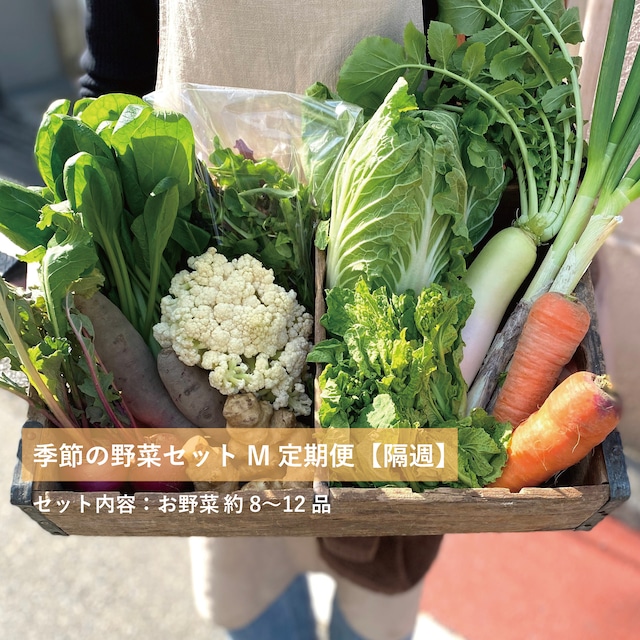 季節の野菜セットM　定期便　【隔週】