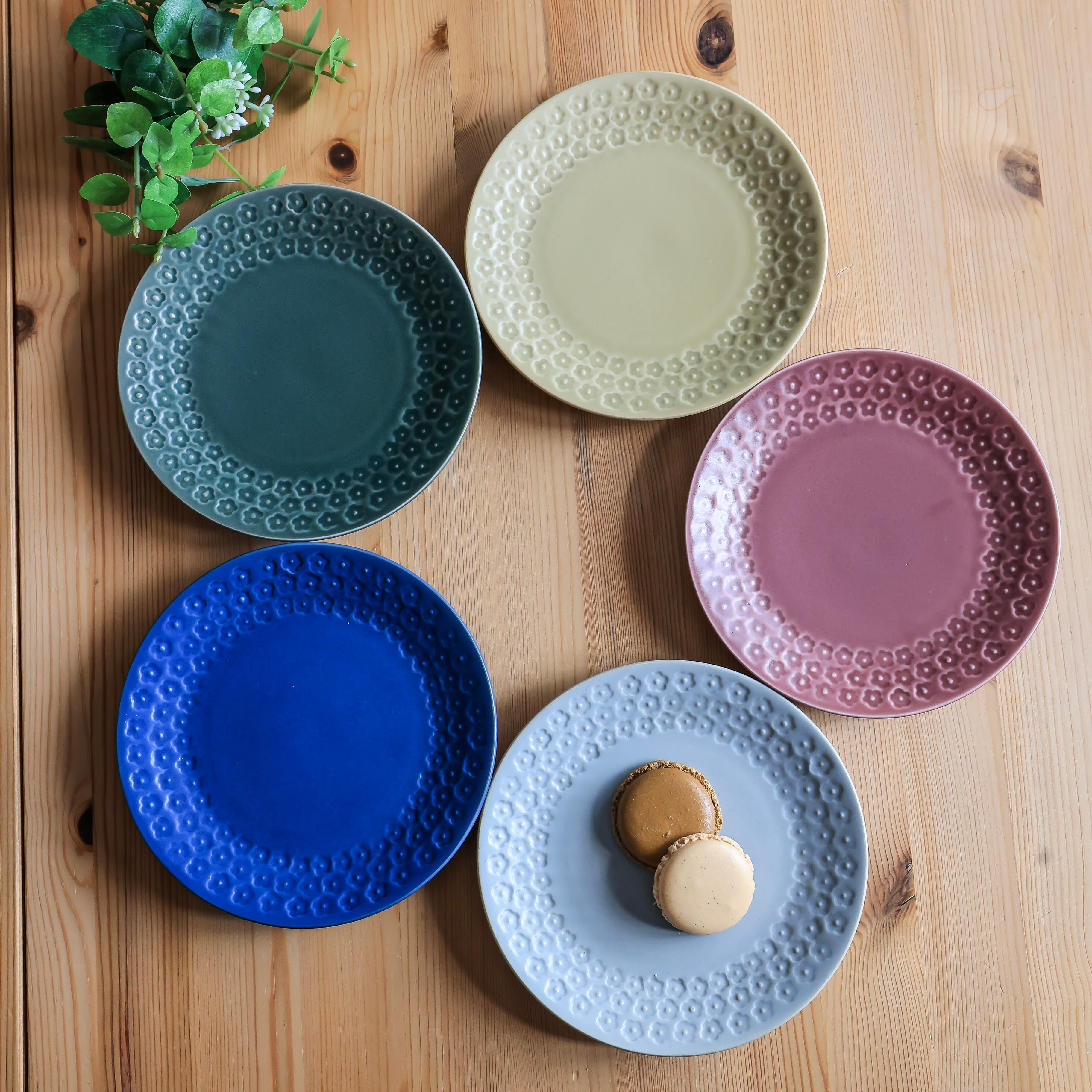 印花型5.0皿「紫マット」 | かめりあ