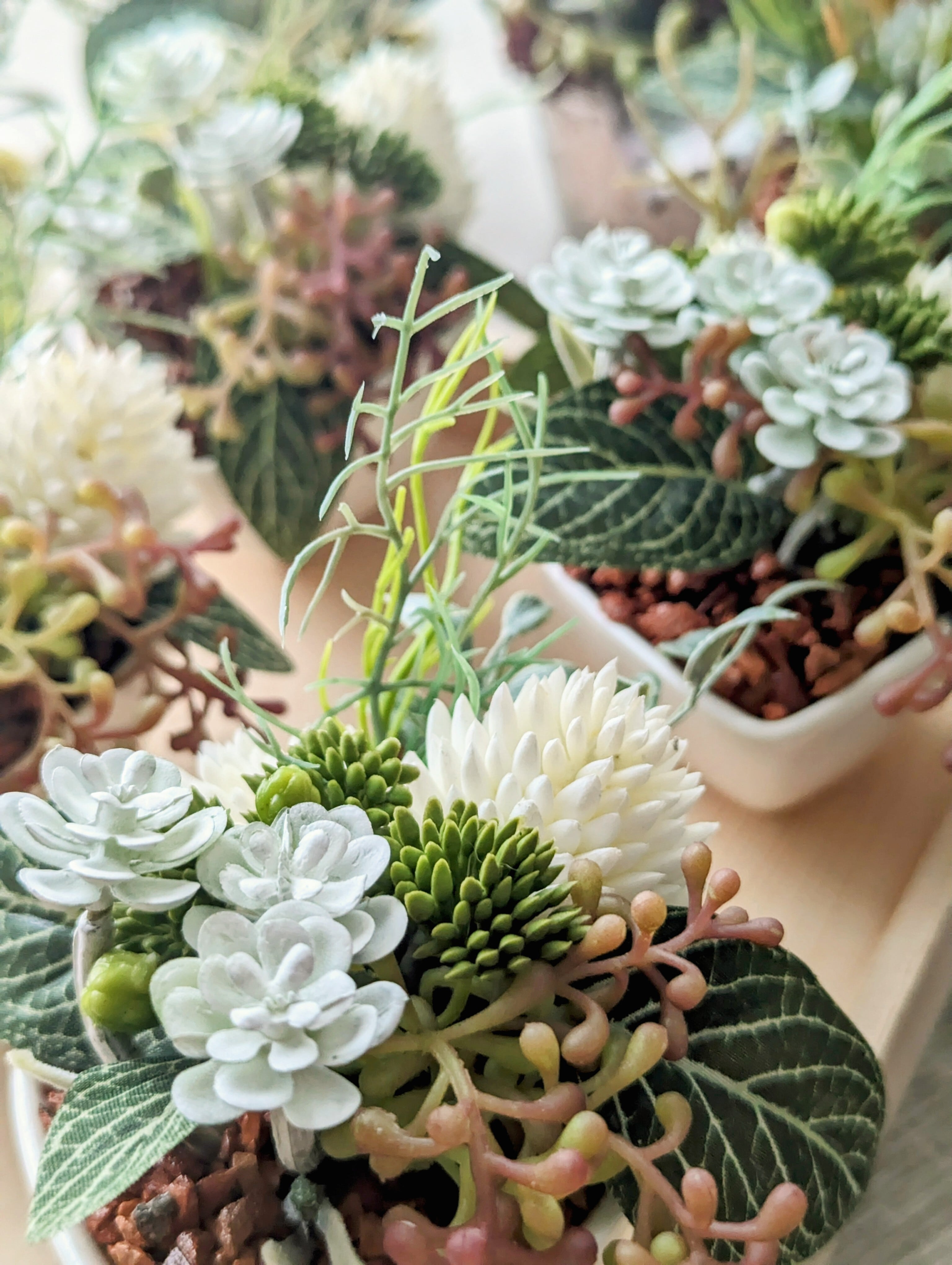 多肉植物＆グリーンアレンジメント ティアドロップボウル 寄せ