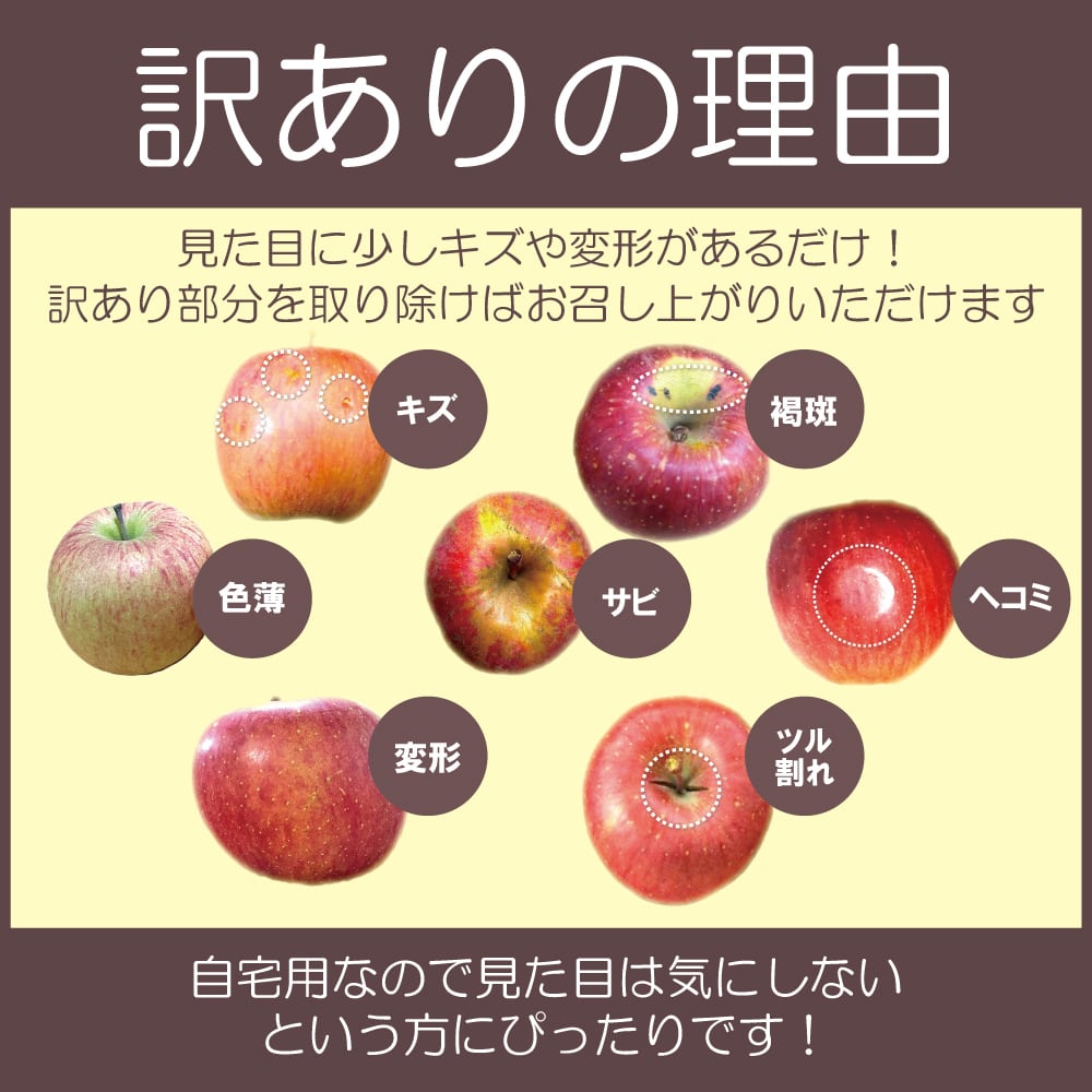 青森県産 ぐんま名月 家庭用訳あり5kg | ニチノウチョイス