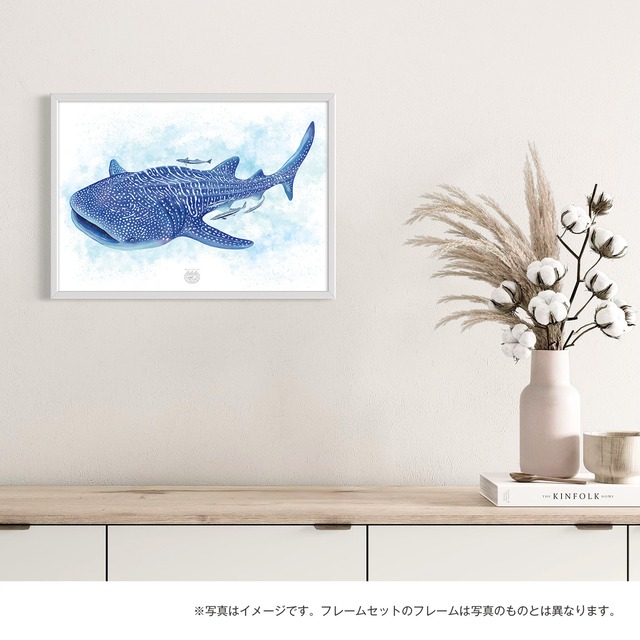 【海のいきものアートポスター／魚】ジンベエザメ