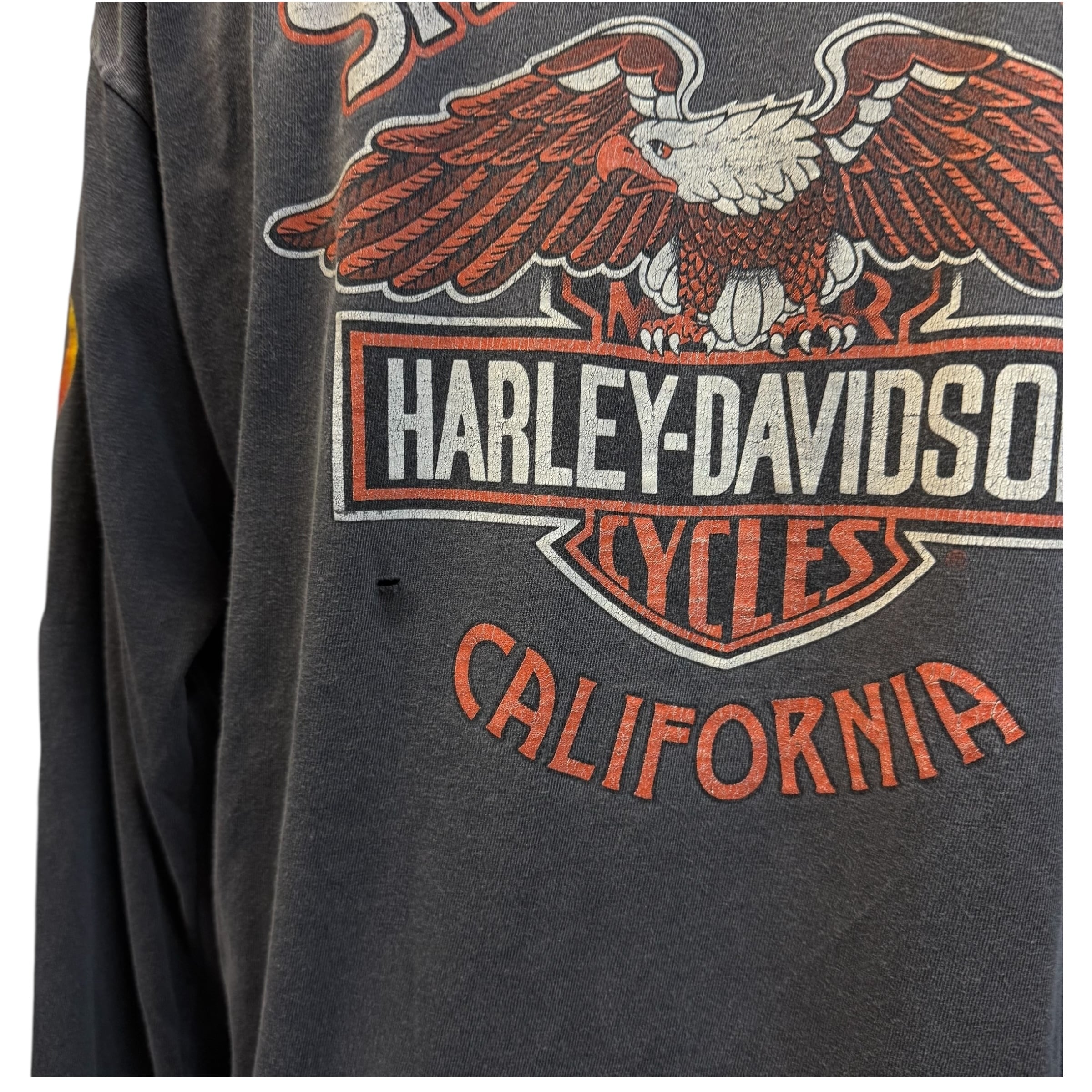 HARLEY DAVIDSON】ハーレーダビットソン FLAME EAGLE SANTA CRUZ USA製