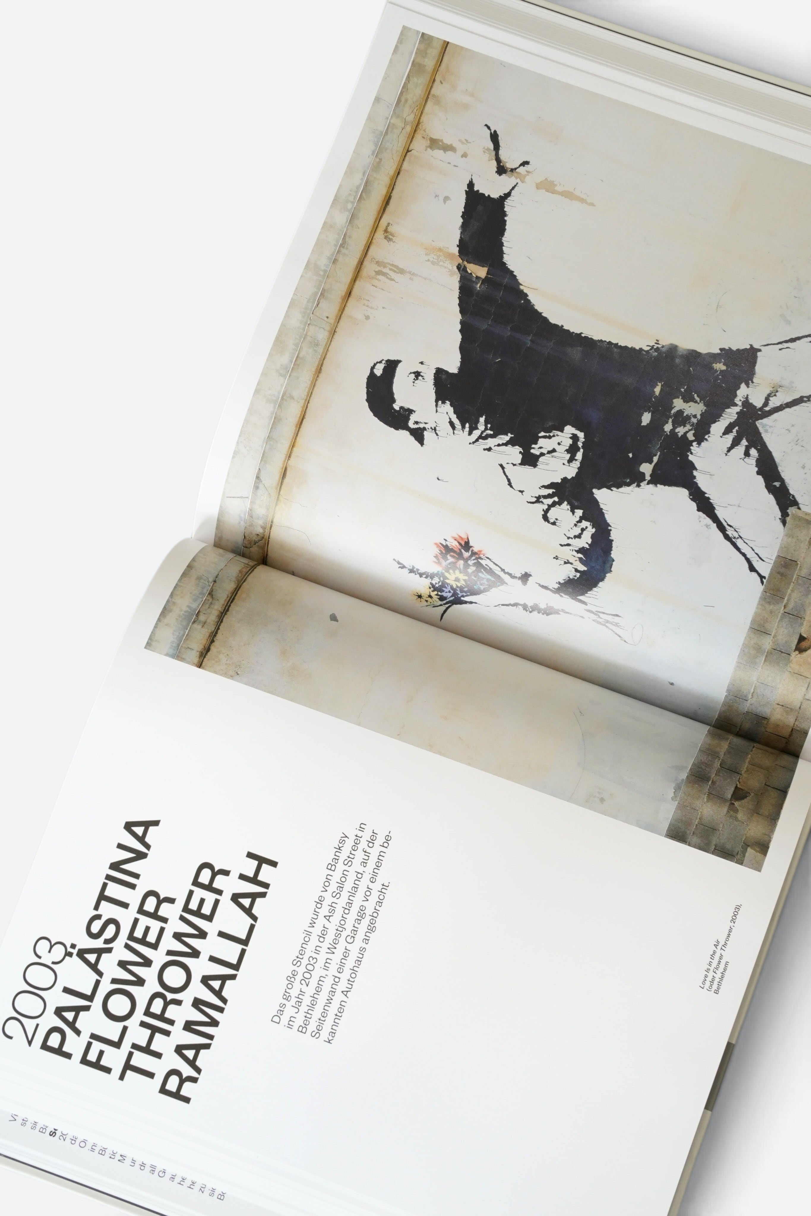 BANKSY｜Stefano Antonelli & Gianluca Marziani｜PLAZA 2022