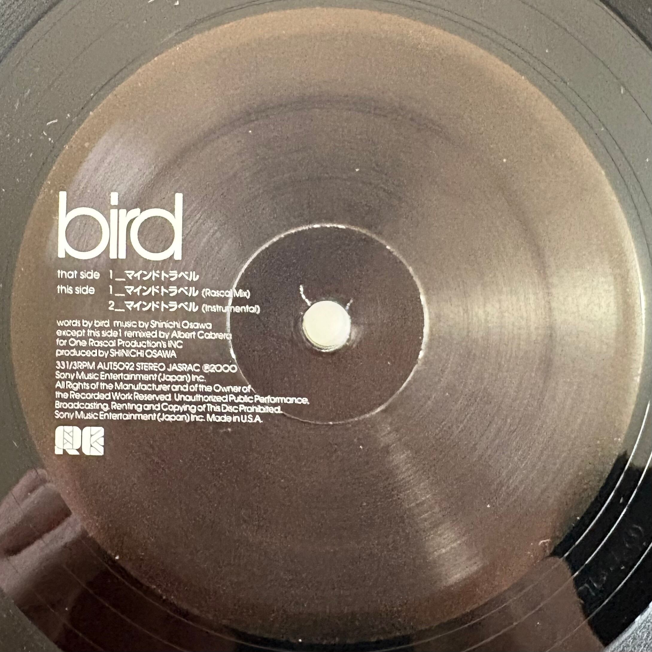 BIRD / マインドトラベル(12