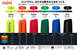FLEXVIT MINI アスレチックセット｜3本セット｜開設記念セット