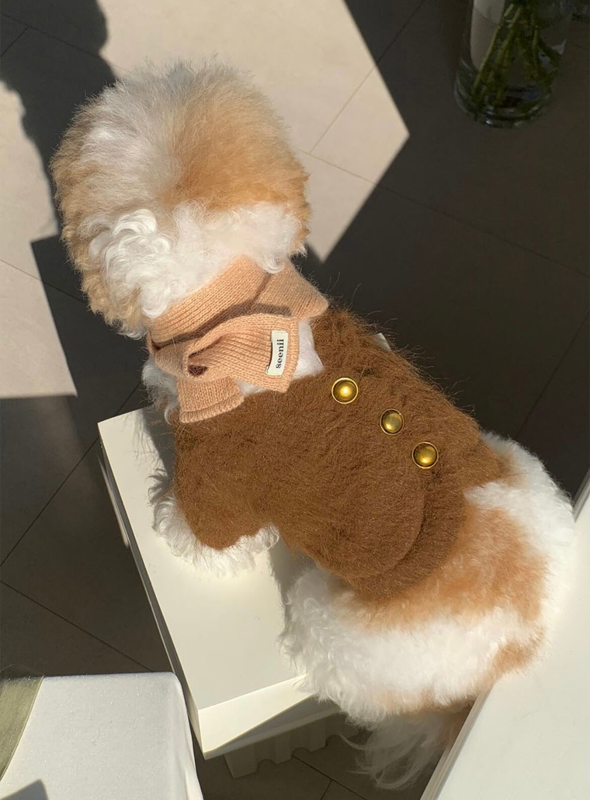 【seenii】 powder jacket (brown)