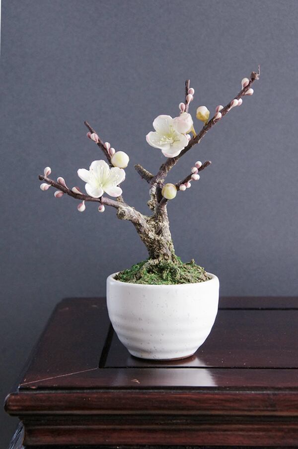 盆栽鉢 ♯35 No.35 和鉢 常滑鉢含む 盆栽鉢 山野草鉢