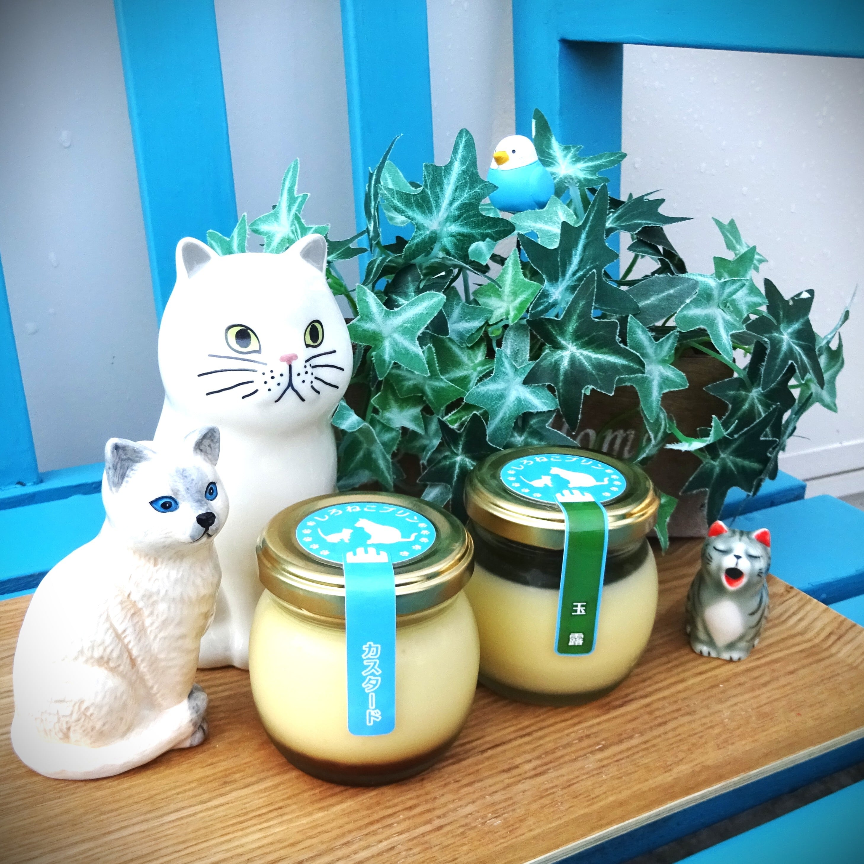 手作りプリン しろねこ屋
