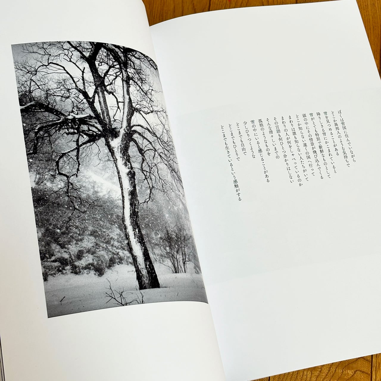 写真集 雪 | beppurintaro_store