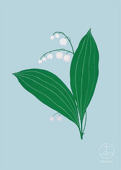 絵はがき | shunka takahashi 絵はがき | shunka takahashi