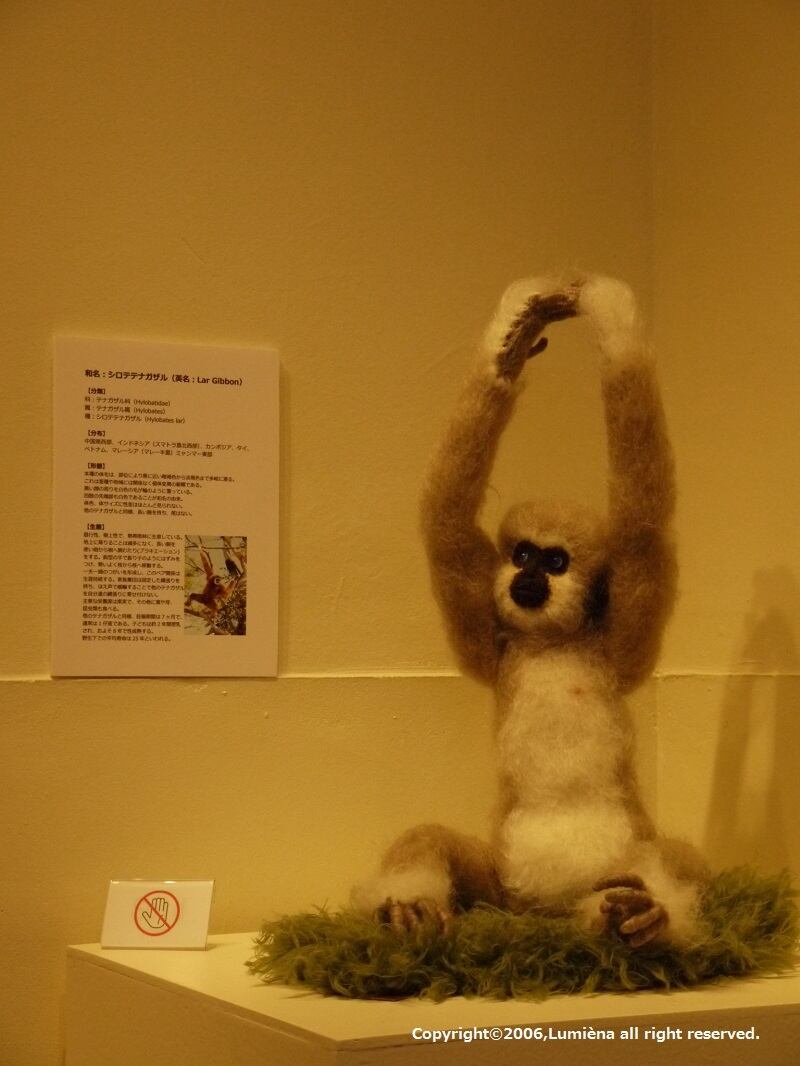 C：あみぐるみポストカード6枚組（猿シリーズ） | あみぐるみ作家 光恵