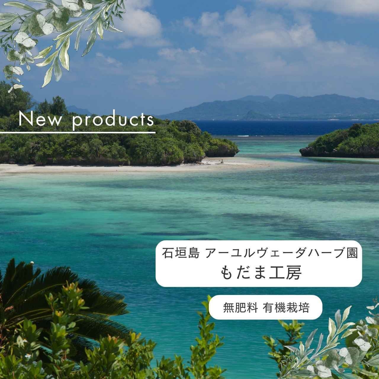 ツボクサ茶（ゴツコラ100％）｜もだま工房 石垣島産 無農薬有機栽培ハーブティ