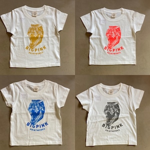 dino T shirt kids (organic cotton)