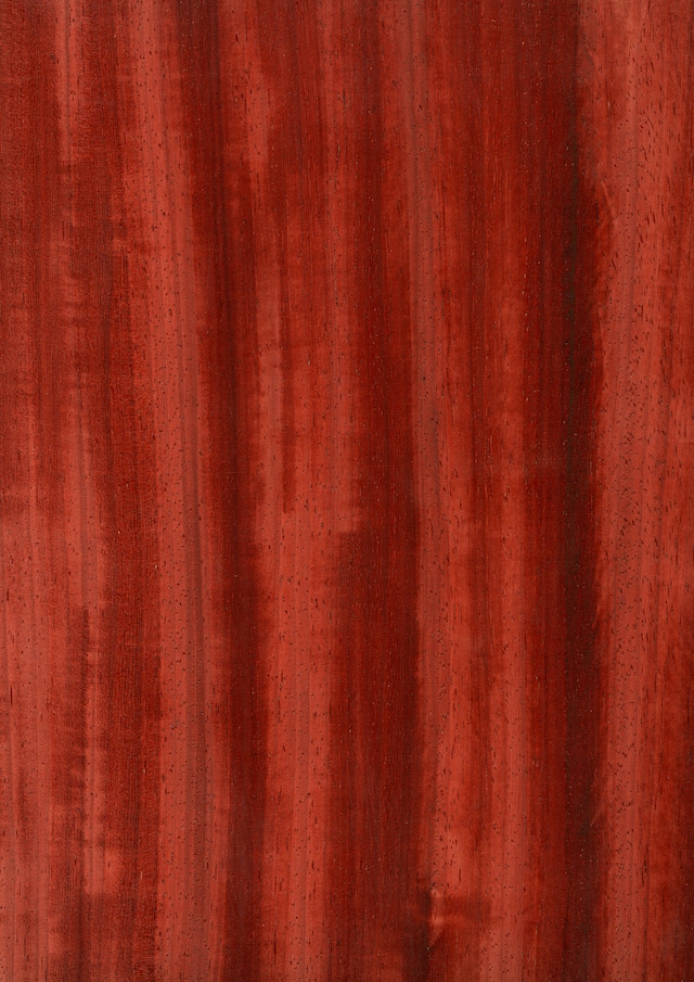 天然木ツキ板シート　スギ　赤色系