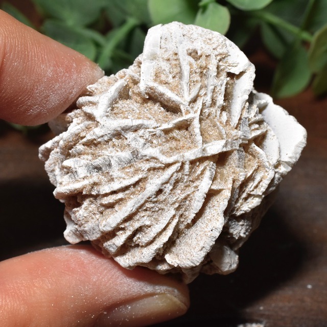 デザートローズ(ジプサムローズ) メキシコ産 DSR06