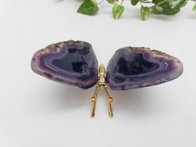 【瑪瑙】　ゴージャス蝶々　no.1