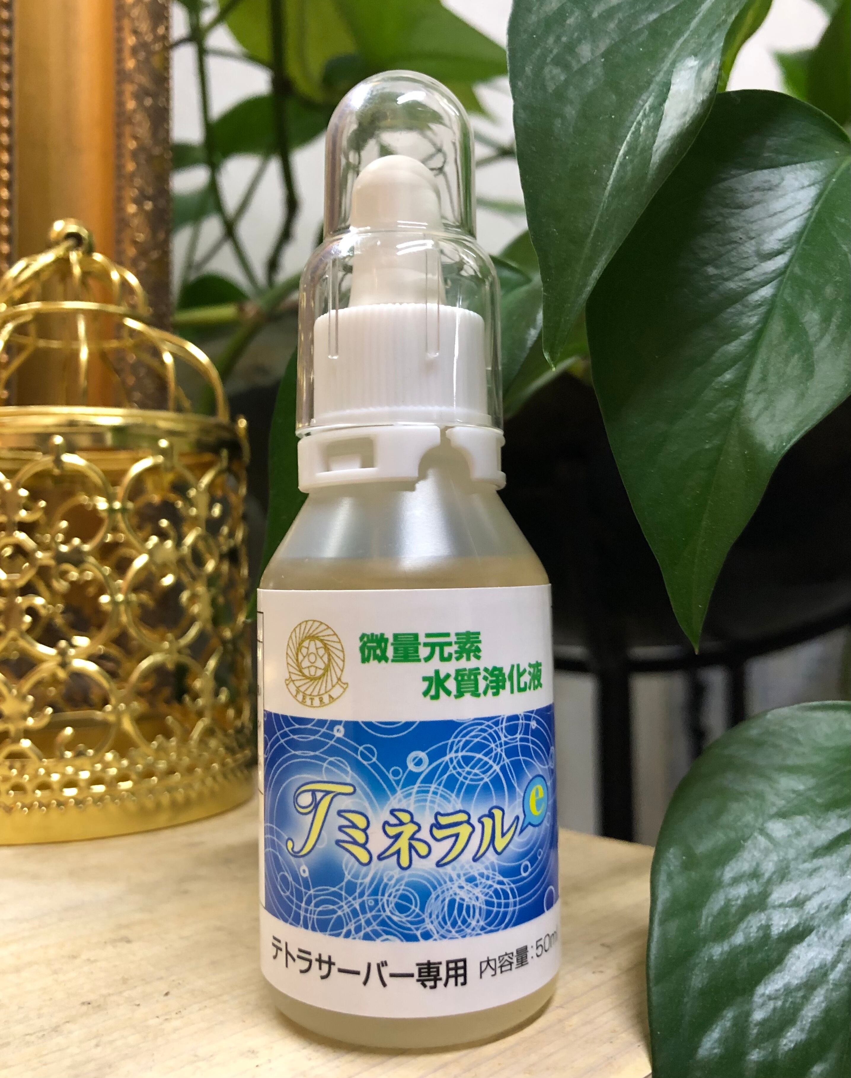 BOLT ESSENCE (ボルト エッセンス) 1,000ml | Pay ID