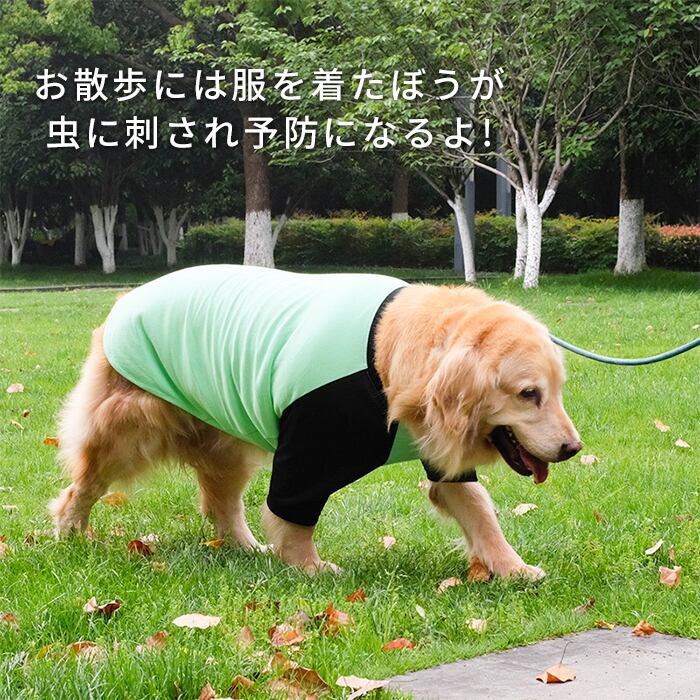 大型犬服 タンクトップ＆ラグランTシャツ - 犬服・アクセサリー