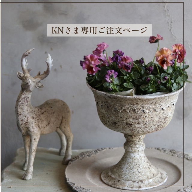 見元ビオラ　プリティーガール　冬から春にオススメのお花　よく咲く　シャビーシックにおすすめ