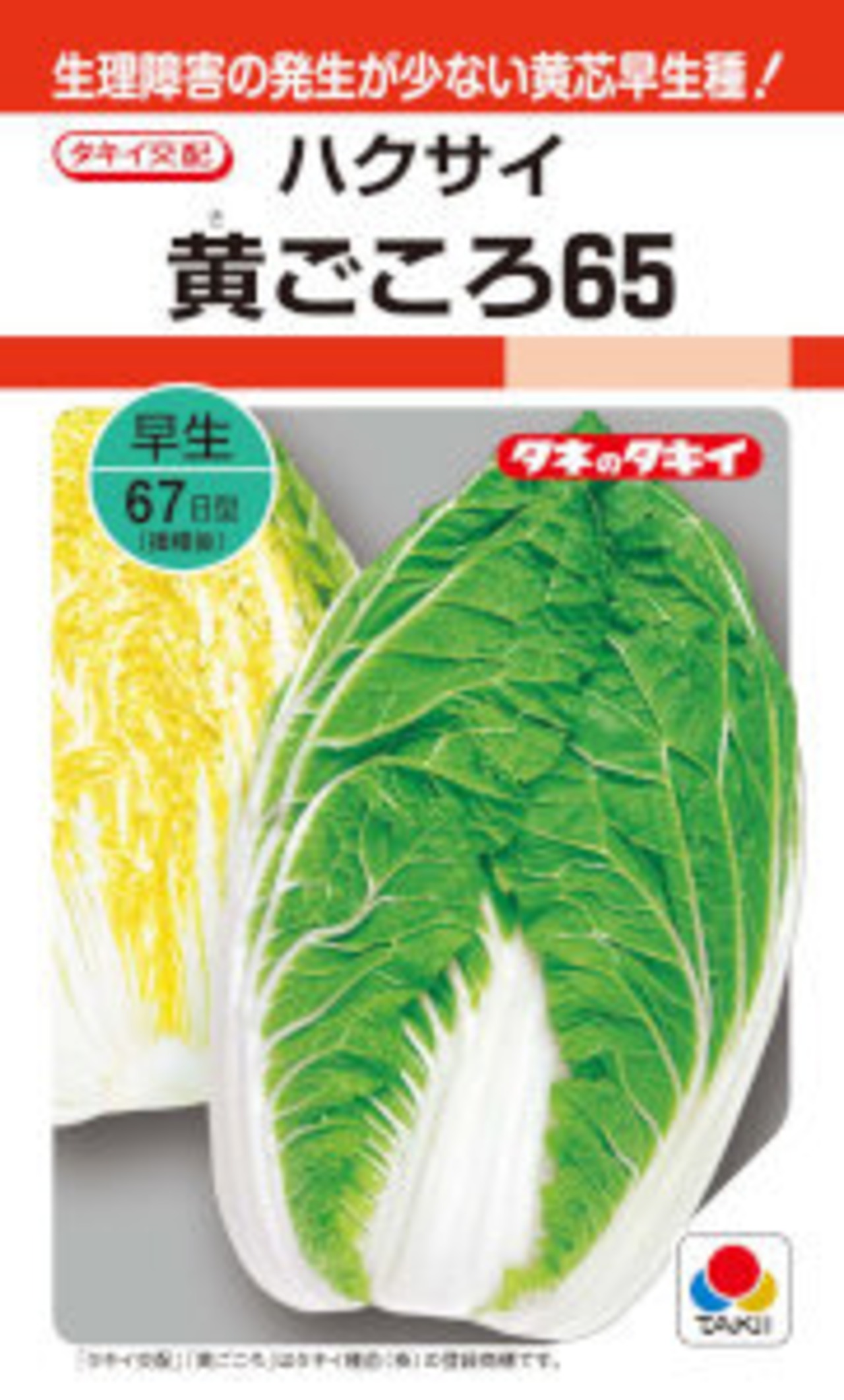タキイ交配　ハクサイ　黄ごころ65