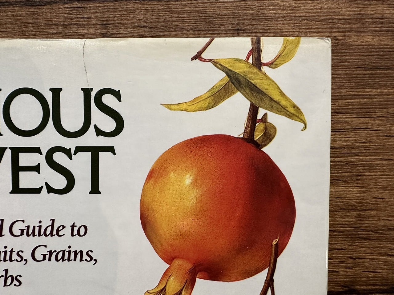 VW166】Glorious Harvest: an illustrated guide to vegetables