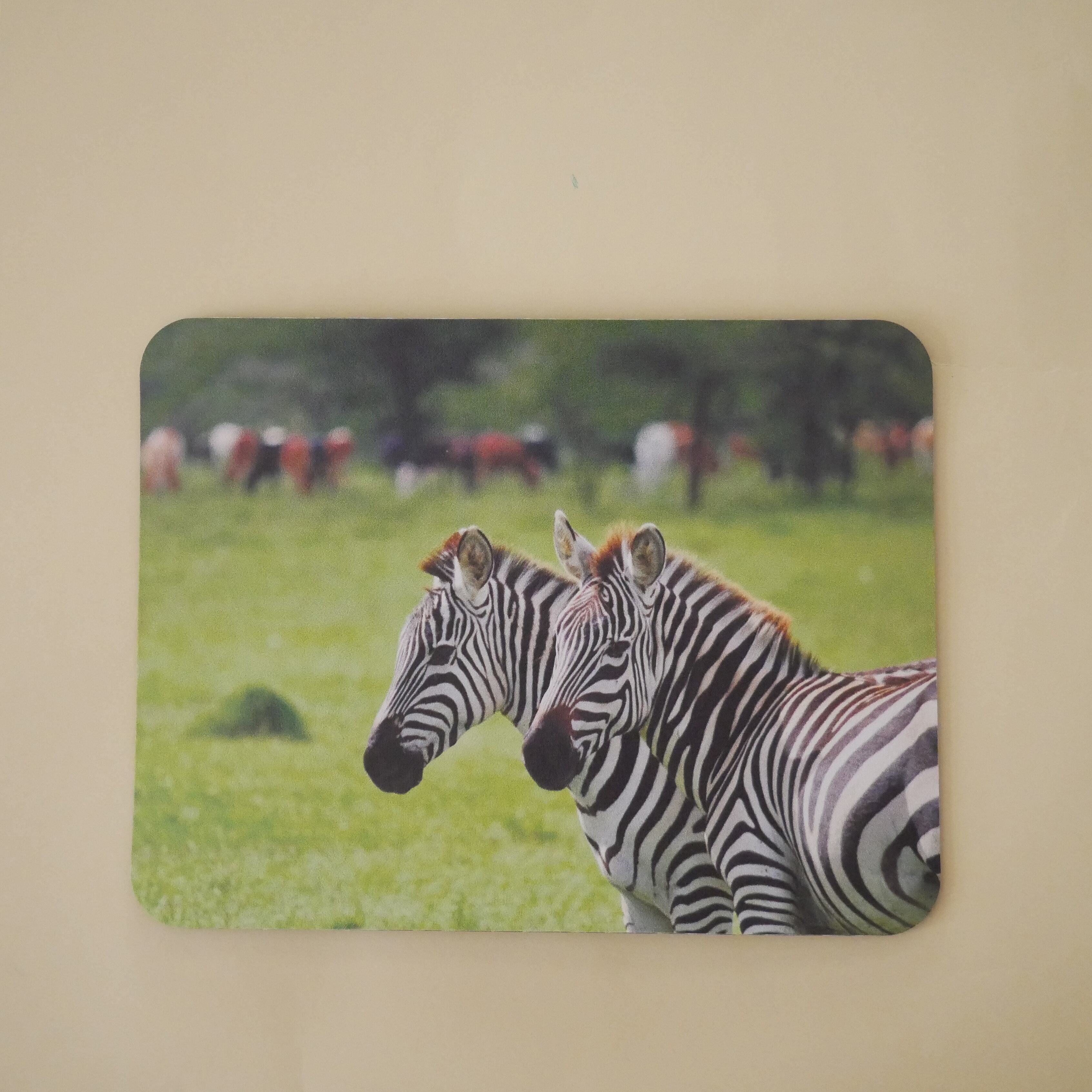 サムライブルー マウスパッド伊東純也】EPOCH 2023 日本代表 直筆