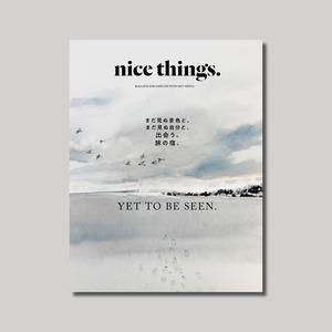 nice things.issue83