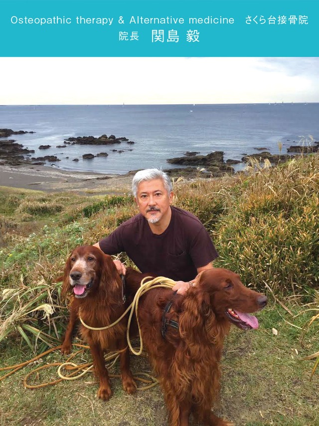 腎臓を抱きしめる腹巻「キドニーウォーマー」／ベージュ