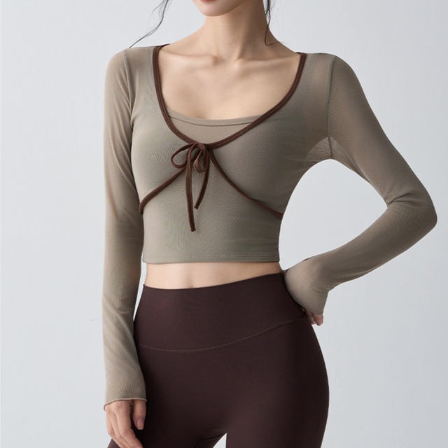 Ribbon Cropped Sheer Long Sleeve Top  BM0062