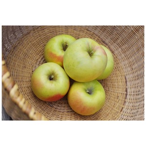 ぐんま名月 ３ｋｇ