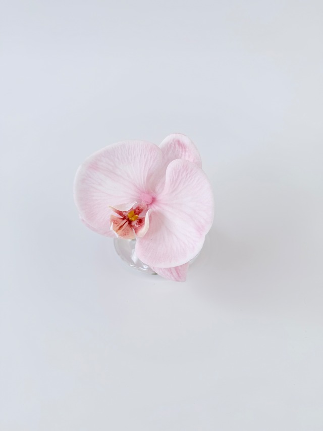 Mini 009