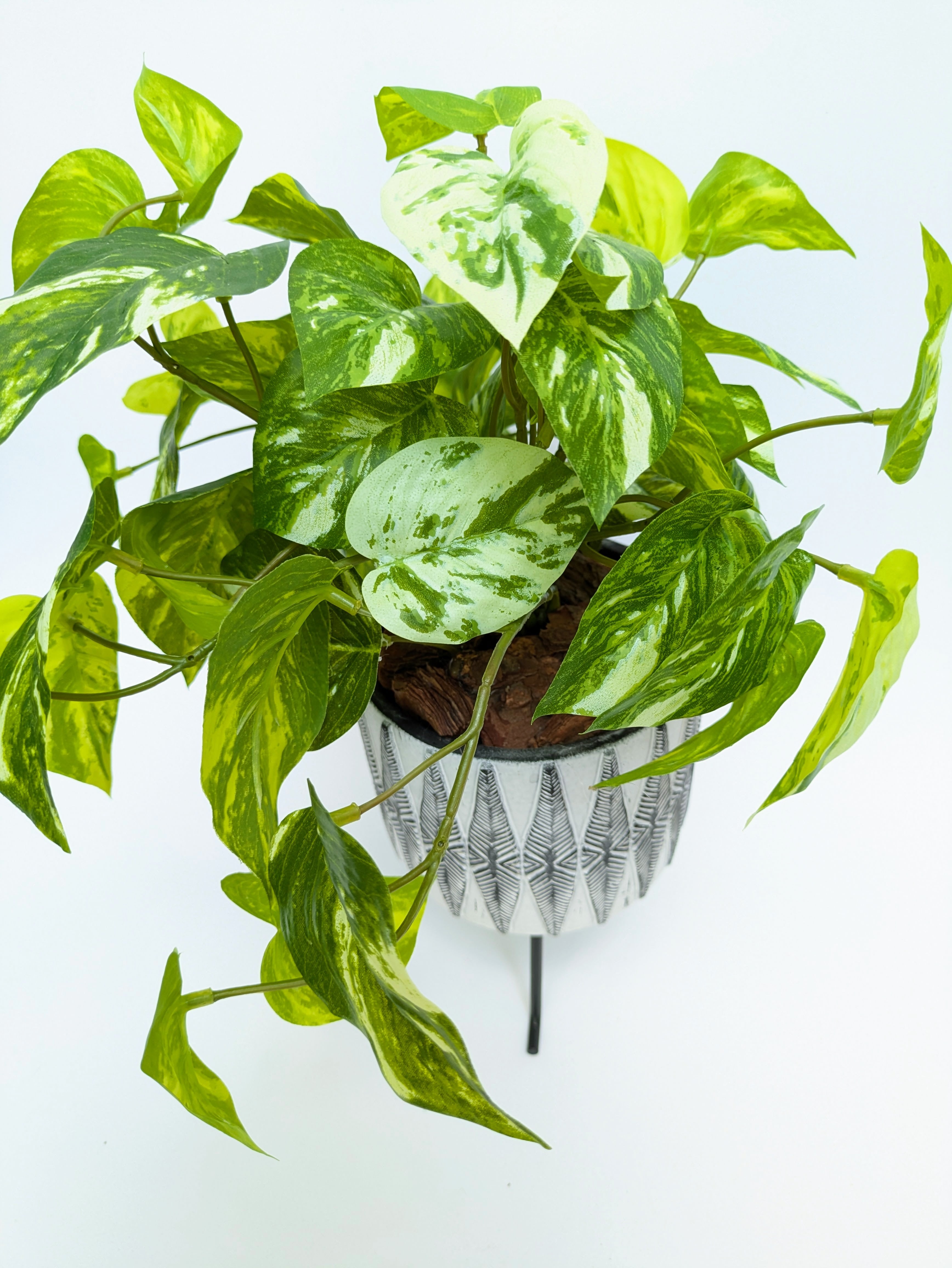 YSアウトレット オシャレな人工観葉・フェイクグリーン お祝いギフトのポトス