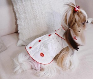 ホワイトトップス❤︎XXS〜XL（送料180円）