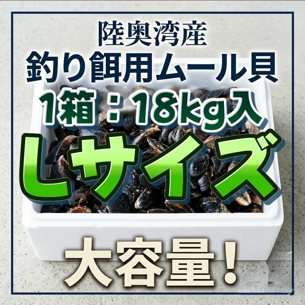 ■1箱：18kg入り【釣り餌用 ムール貝】Lサイズ