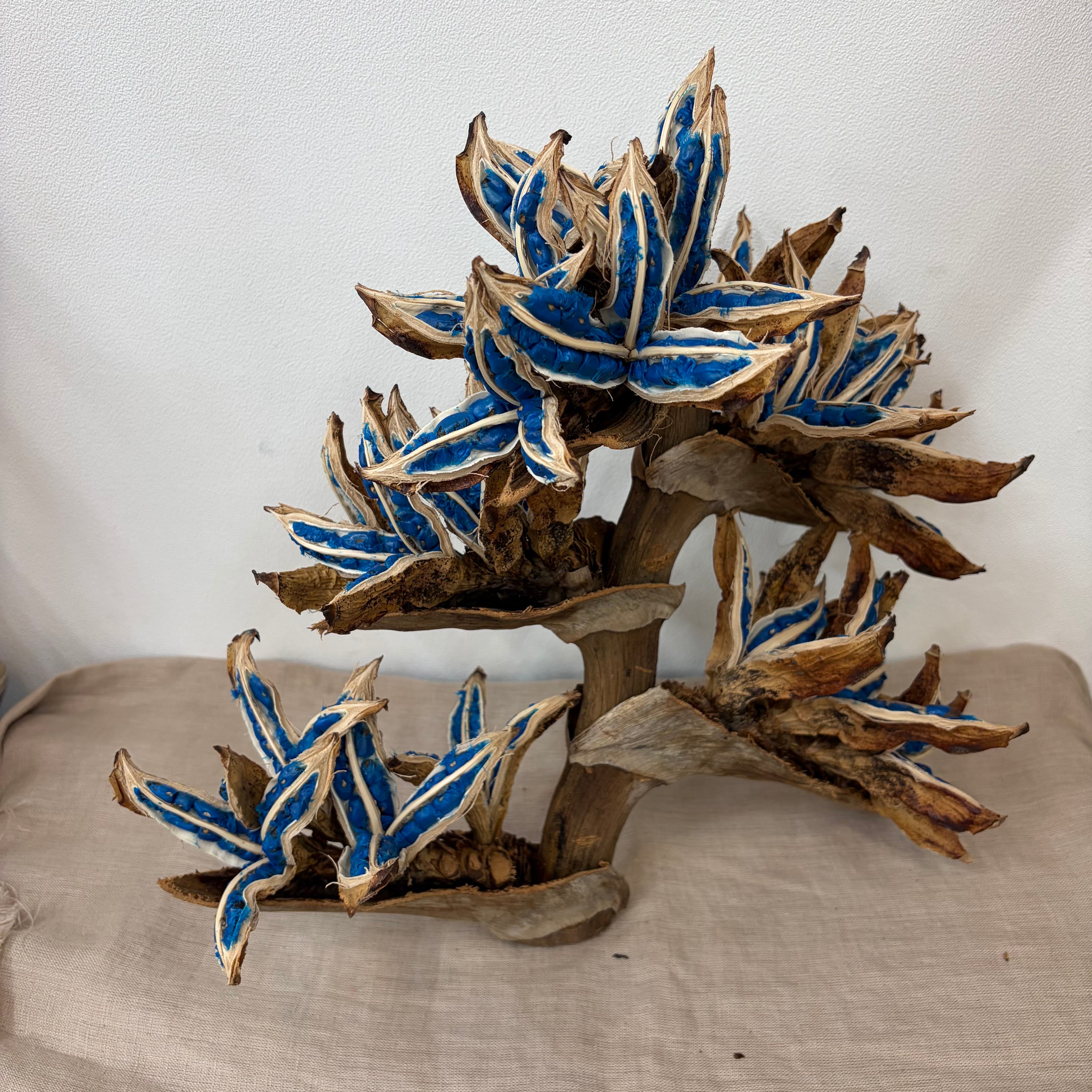 MADE in Nature 1shigaki